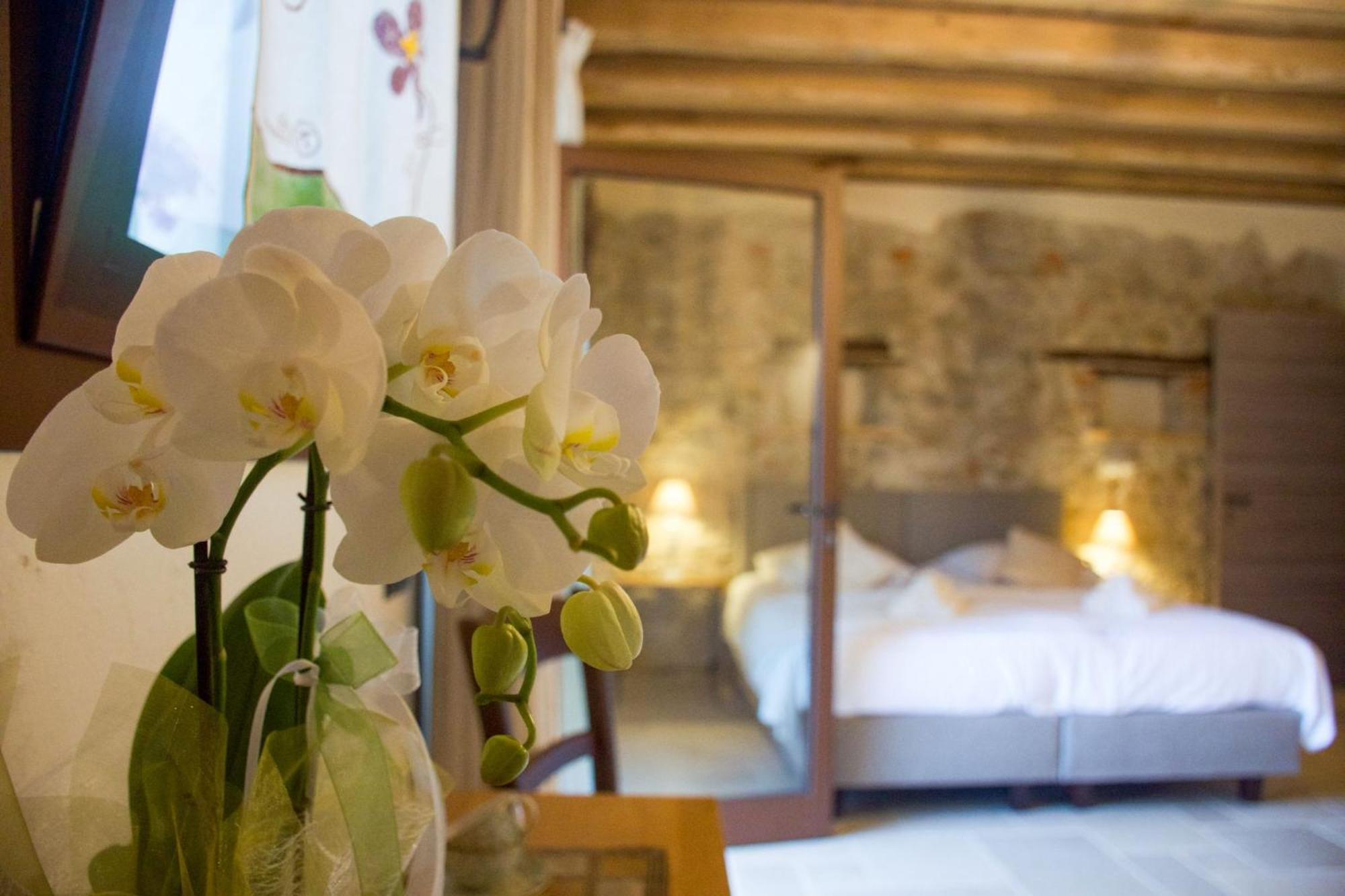 Agriturismo La Pina Tarzo Экстерьер фото