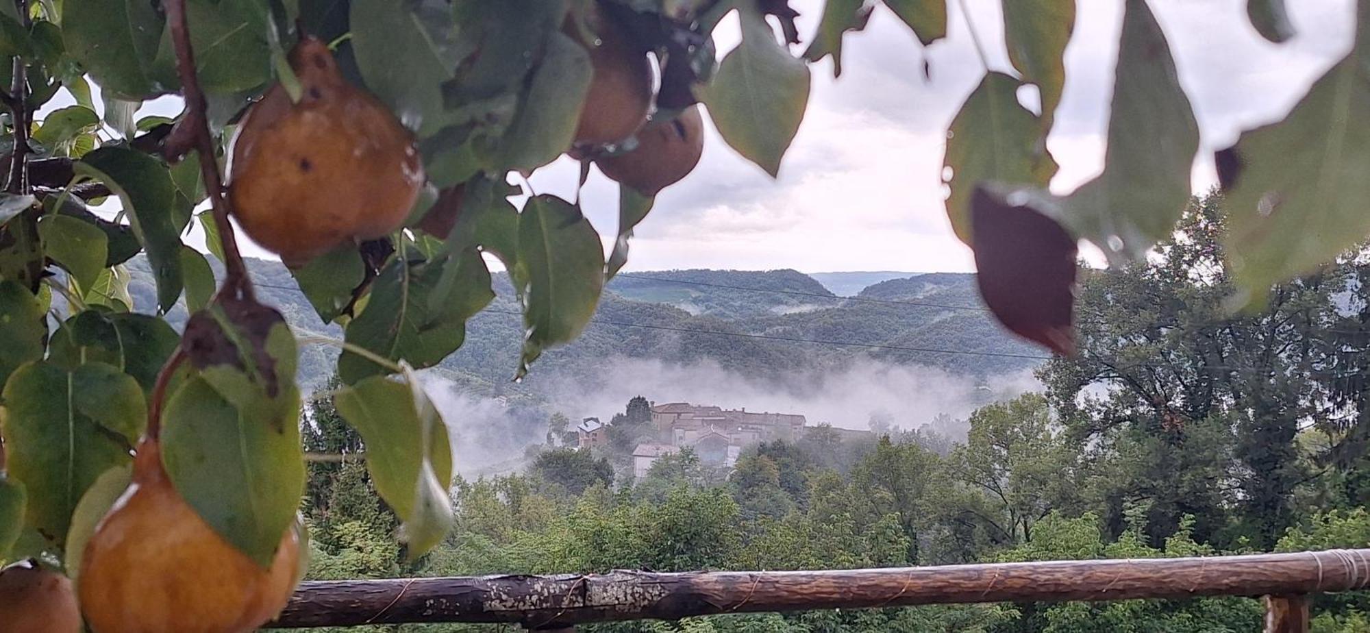 Agriturismo La Pina Tarzo Экстерьер фото